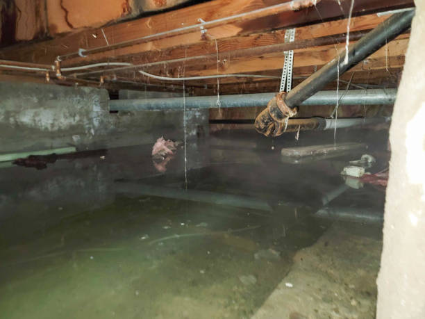 Best 24/7 water damage repair  in Hamilton Square, NJ