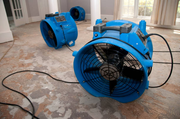 Best Fire Damage Restoration  in Hamilton Square, NJ