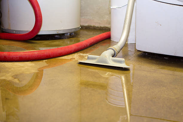 Water damage restoration mold remediation in NJ