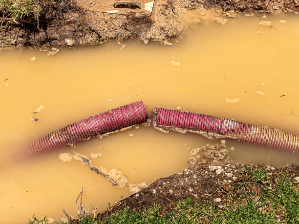 Best Water damage restoration experts  in Hamilton Square, NJ