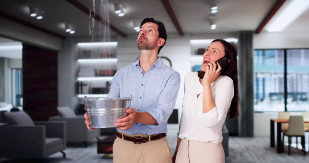 Best Carpet water damage restoration  in Hamilton Square, NJ